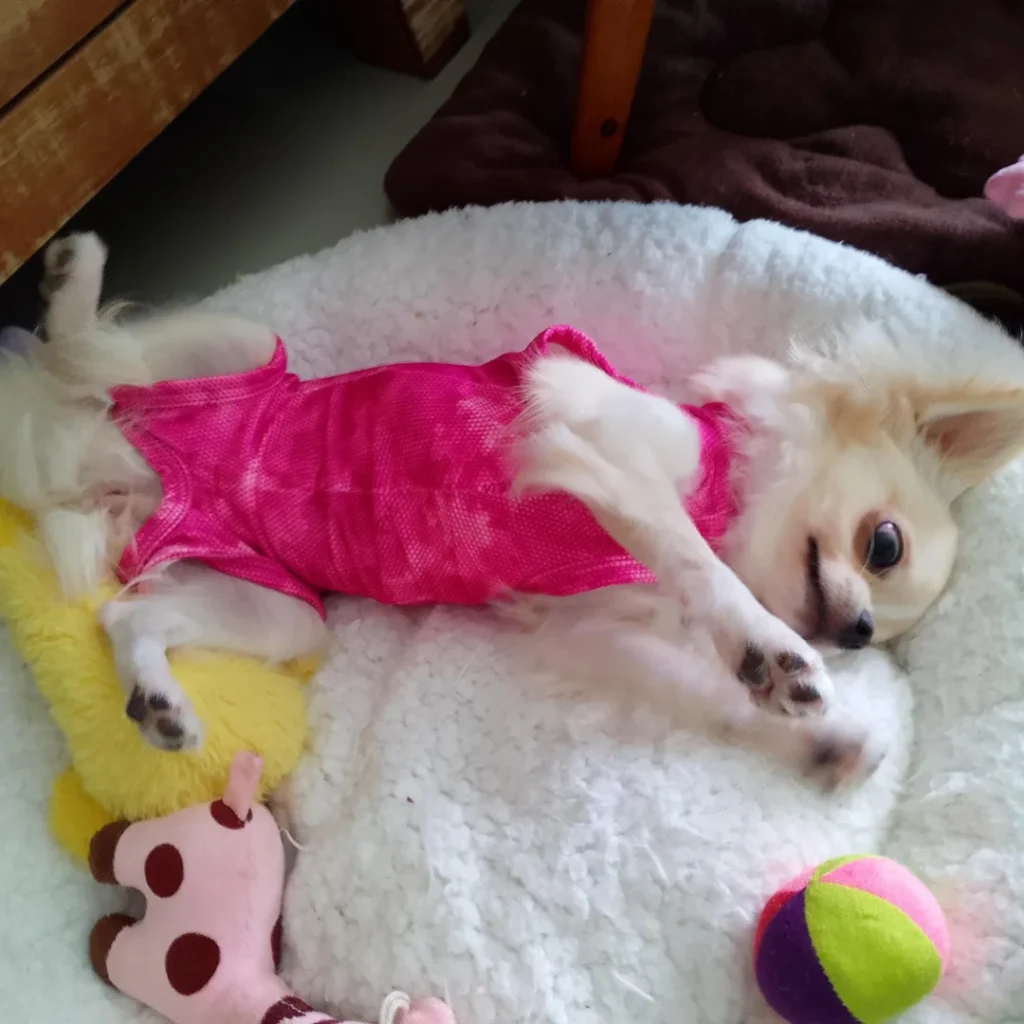 Roupa de castração