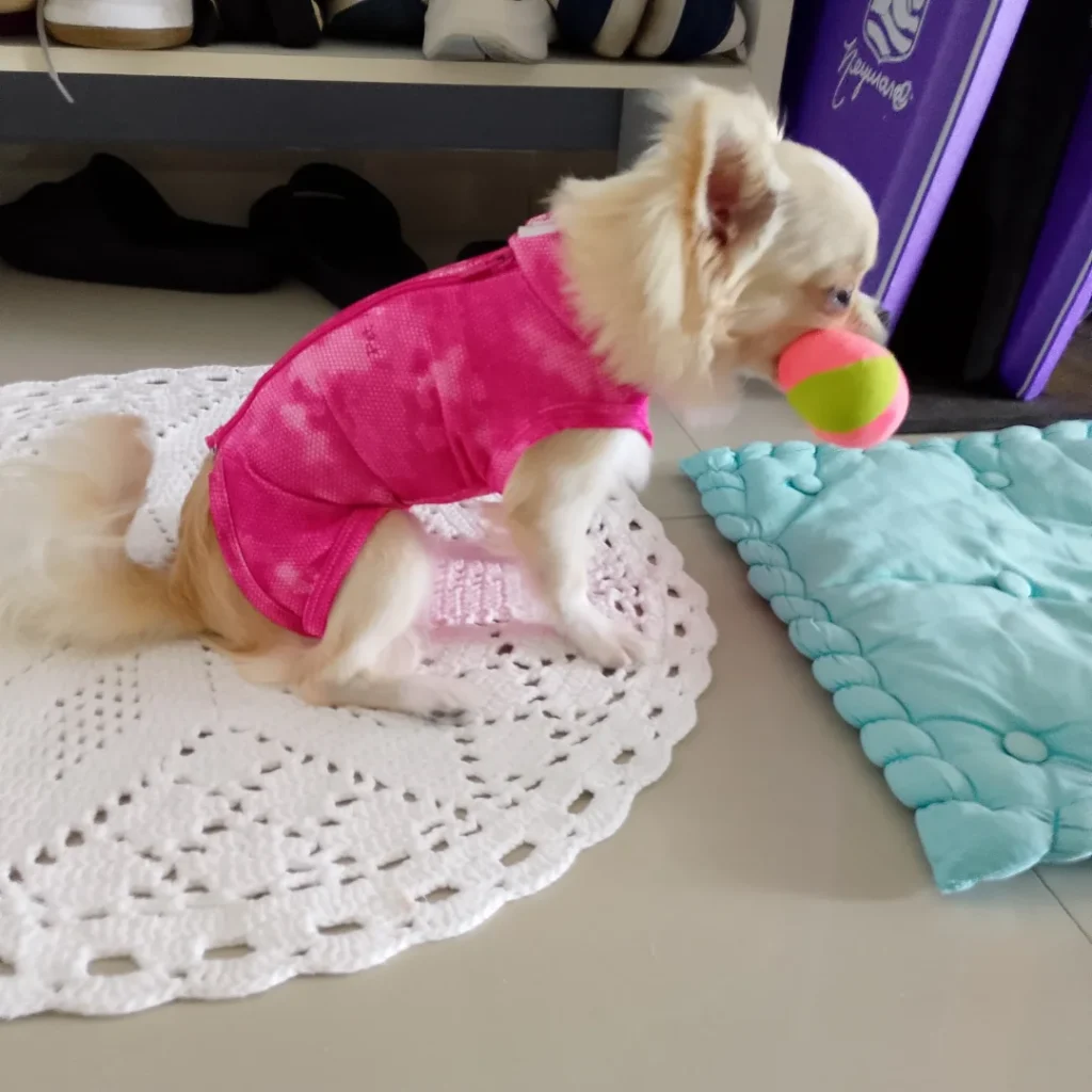 Roupa de castração