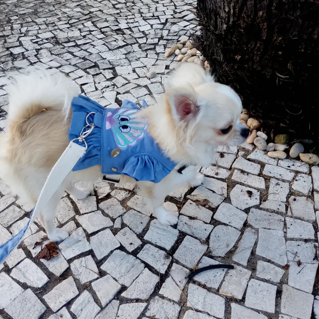 Conchita de férias