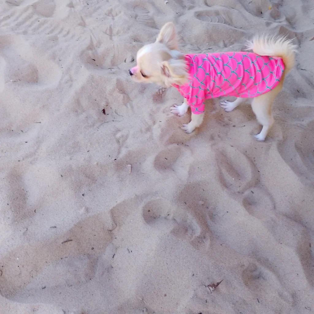Conchita na praia