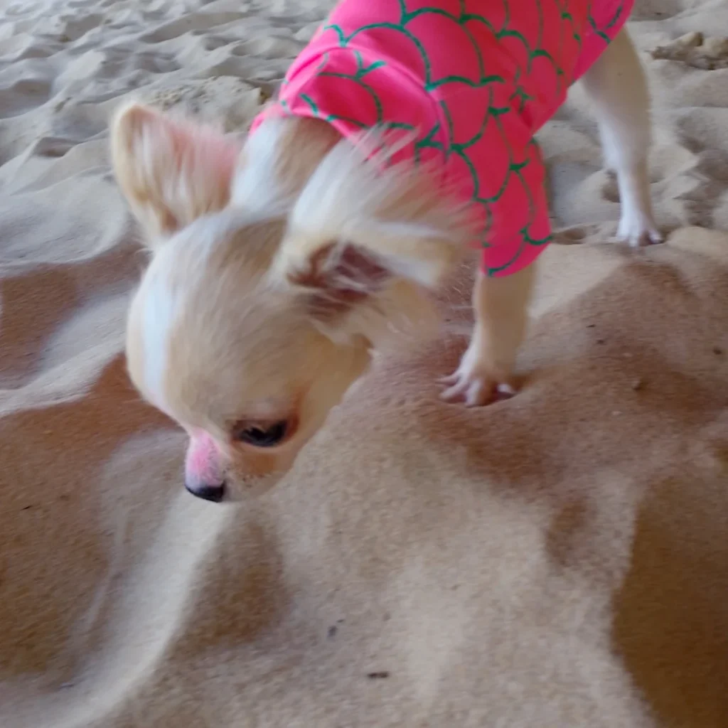 Conchita na praia