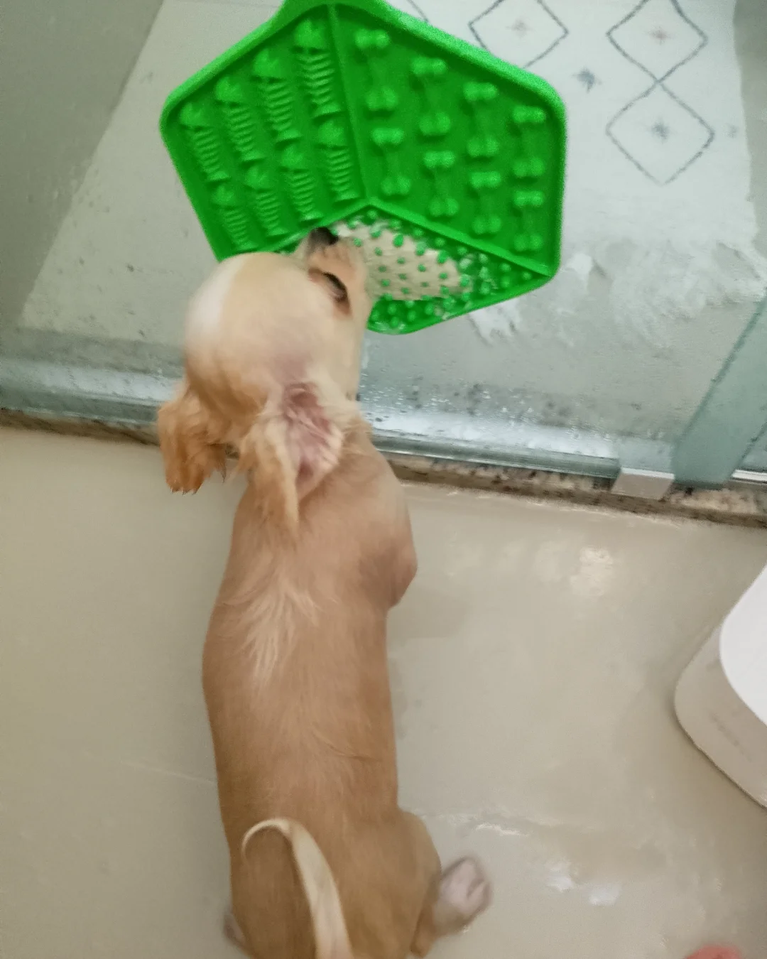 Iogurte no banho