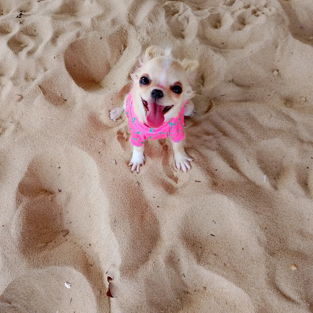 Conchita na praia